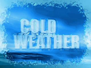 wagt_cold_weather1